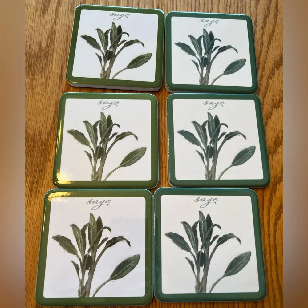 Set of 6 Sage Coasters with Darren Gygi's Artwork